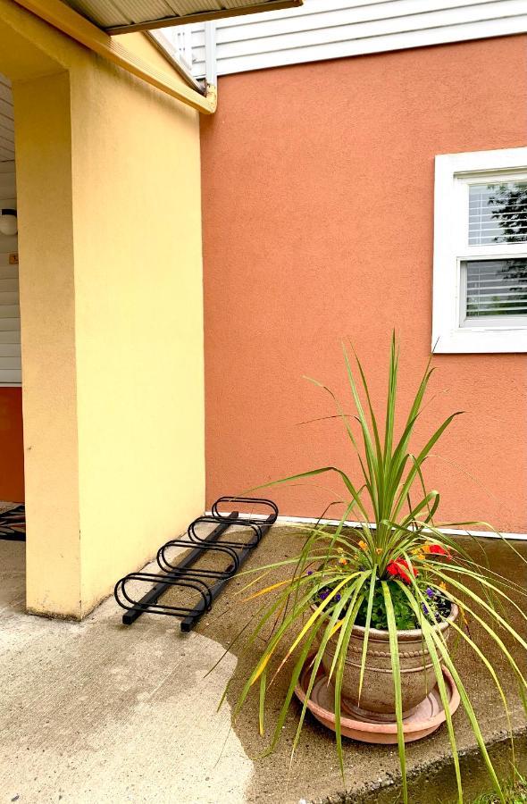 Le Pareo De Magog-Mont Orford Apartment Exterior foto